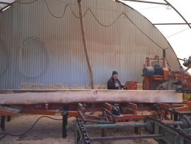 Sierra de banda Wood Mizer LT40 20000 EUR